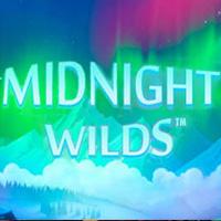 Midnight Wild